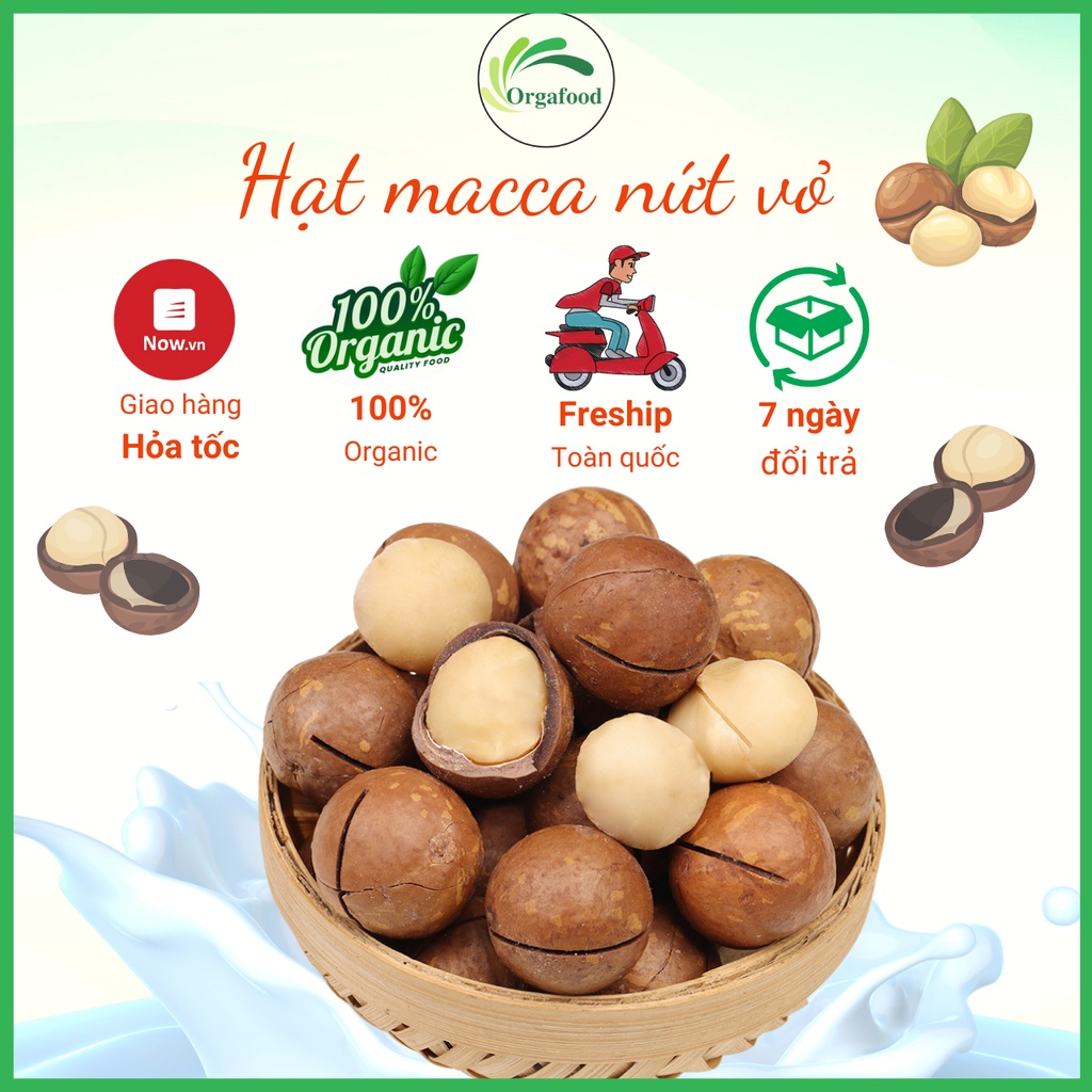 Hạt macca nứt vỏ Daklak organic 500g macca tươi size 25-28 mm tặng kèm đồ khui hạt Orgafood