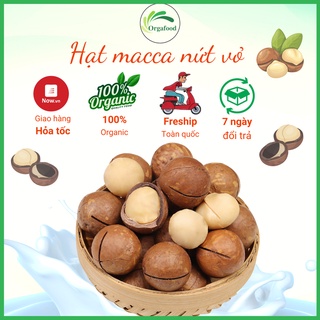 Hạt macca nứt vỏ Daklak organic 500g macca tươi size 25