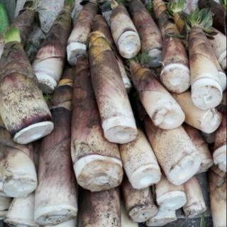 Combo 2kg măng đắng quê