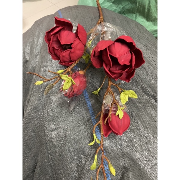 Hoa mộc lan thơm cao cấp