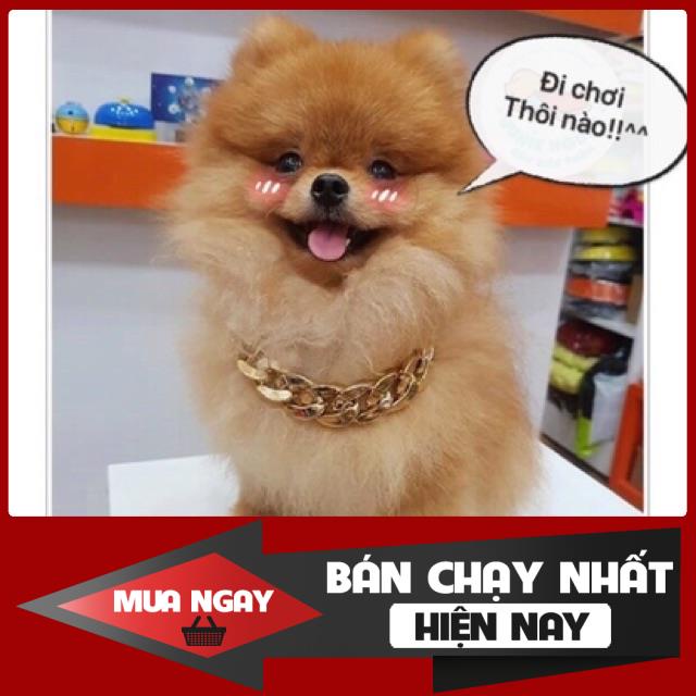 [❌GIÁ SỈ❌] Vòng cổ mạ vàng cho thú cưng. Siêu nhẹ siêu ngầu 0 ❤️