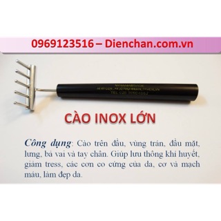 Cào lớn Diện Chẩn