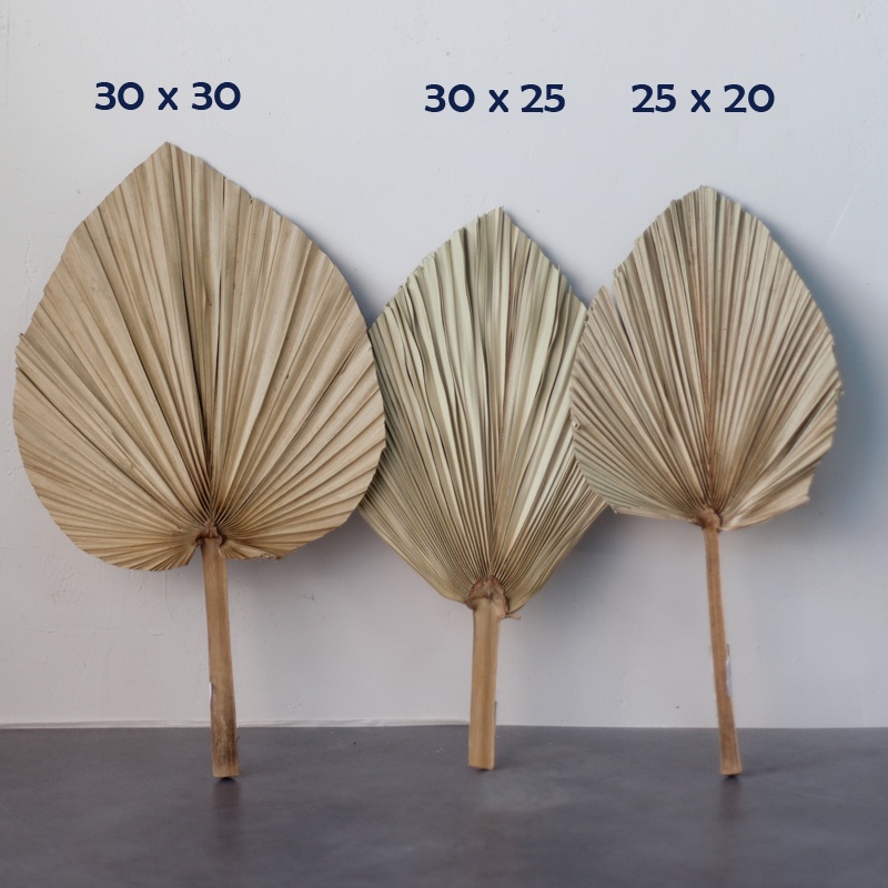 Cành lá cọ khô trang trí, cây khô trang trí sự kiện, tiệc - Jassi Decor