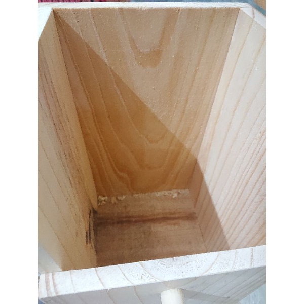 Tổ chim chòe lửa