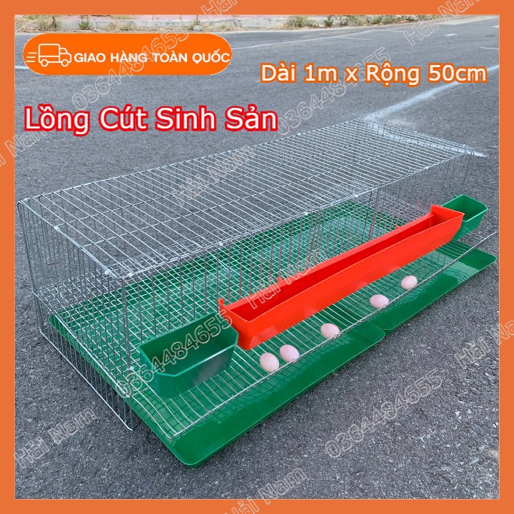 Lồng nuôi chim cút sinh sản [ Combo 2 lồng ] - Lồng cút sinh sản đầy đủ phụ kiện