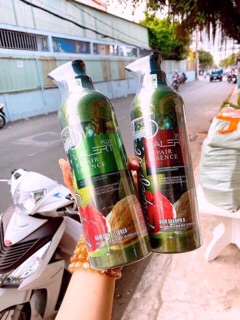 CẶP DẦU GỘI XÃ BƯỞI GRAPEFRUIT COMBO CHO KHÁCH