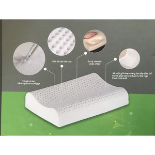 Ruột gối EVERON LATEX kích thước 28cm x 44cm (ruột gối cao su)