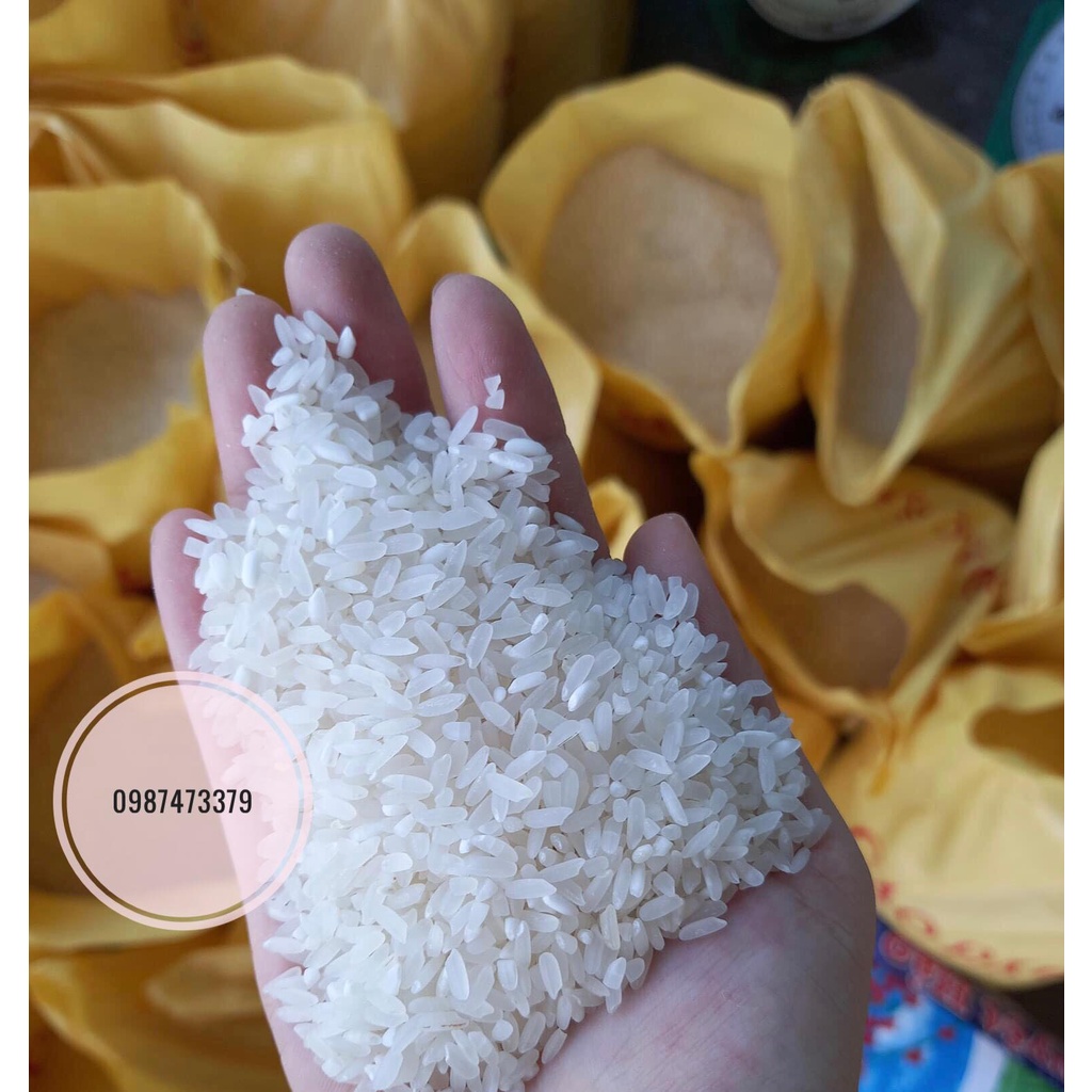 Gạo BC Thái Bình 1kg, 3kg