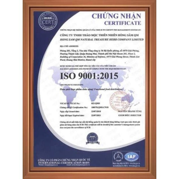 THẢO MỘC TĂNG CÂN HOÀN HỒNG SÂM