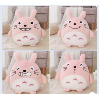 Chăn Gối Gấu Bông Totoro biểu cảm, hoa quả, mèo, gấu siêu dễ thương(#Gối_Chăn_Ủ tay)