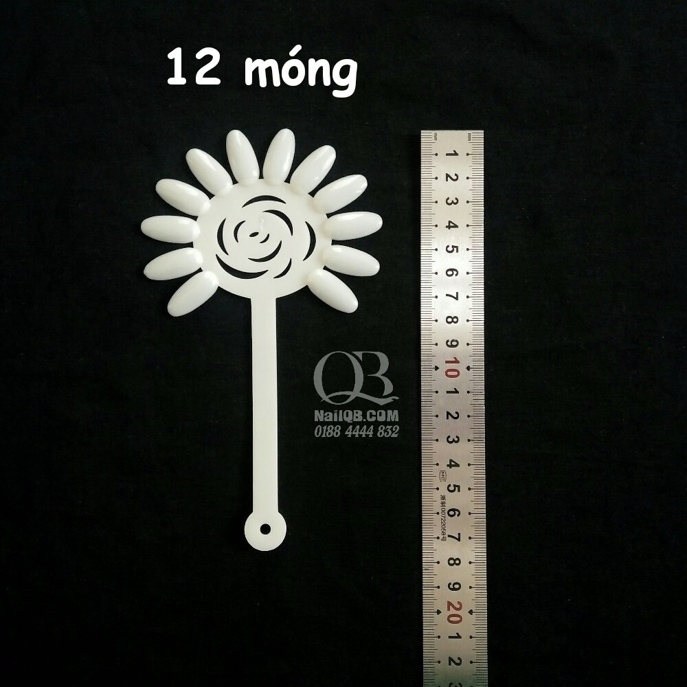 Móng giả tập vẽ mẫu nail, móng trưng bày, móng gài sổ màu