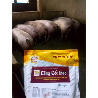 Mua 5  TẶNG 1 (6kg) vỗ béo cấp tốc cho Heo( 115k/1kg)