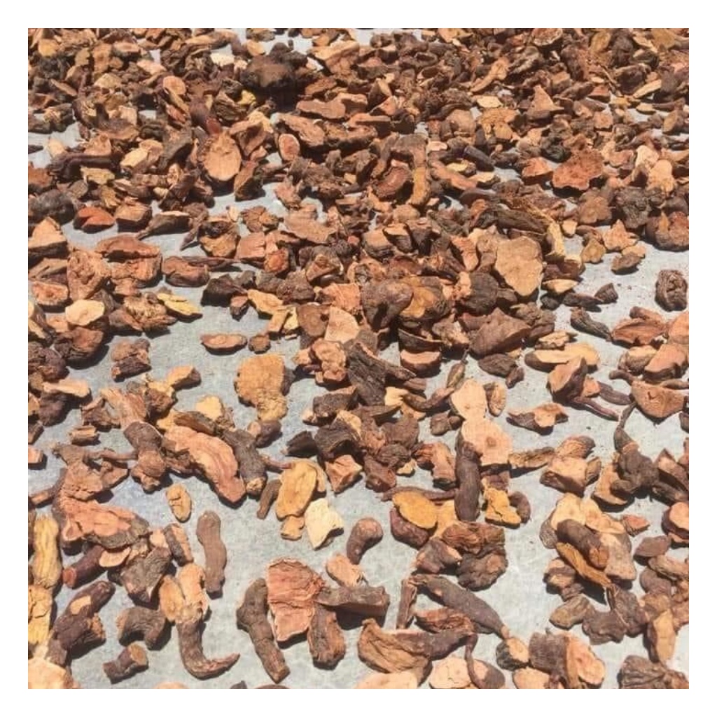 Hà Thủ Ô Đỏ Loại 1 Hàng Mới Chất Lượng | BigBuy360 - bigbuy360.vn