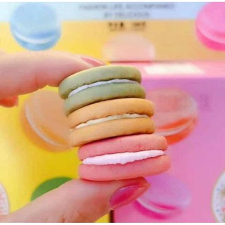 Bánh kẹp kem MACAROON BỊCH 338GR