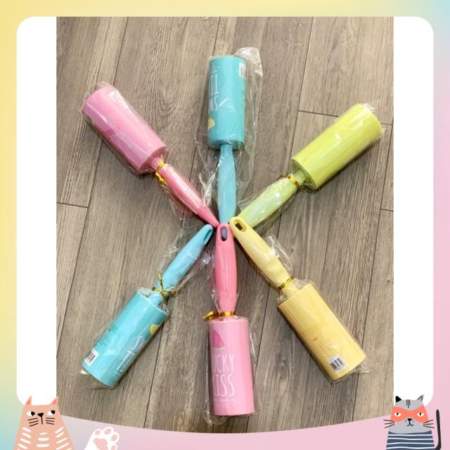 Cây lăn lông chó mèo