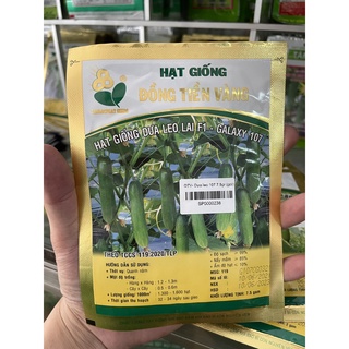 Hạt giống dưa leo lai f1 đồng tiền vàng 7.5gram