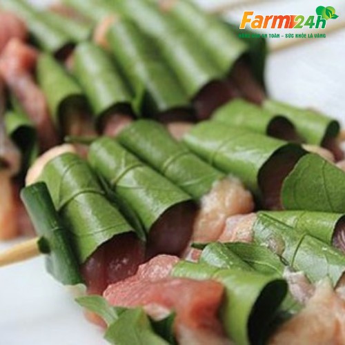 [1kg] Lá mắc mật tươi Tây Bắc làm gia vị thơm ngon cho vịt quay, heo quay, luôn có hàng tươi mỗi ngày | Farm 24h