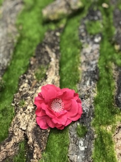 Bông đào rời