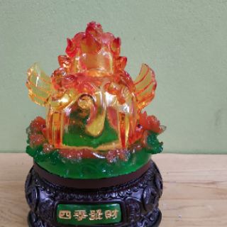 Cóc Kỳ  các cỡ cac màu
