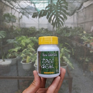 Keo liền sẹo cây trồng tree seal nhập mỹ lọ 100gr