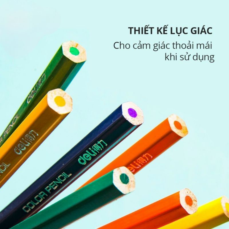 Bút chì màu chuyên nghiệp dạng cốc  24 (màu)