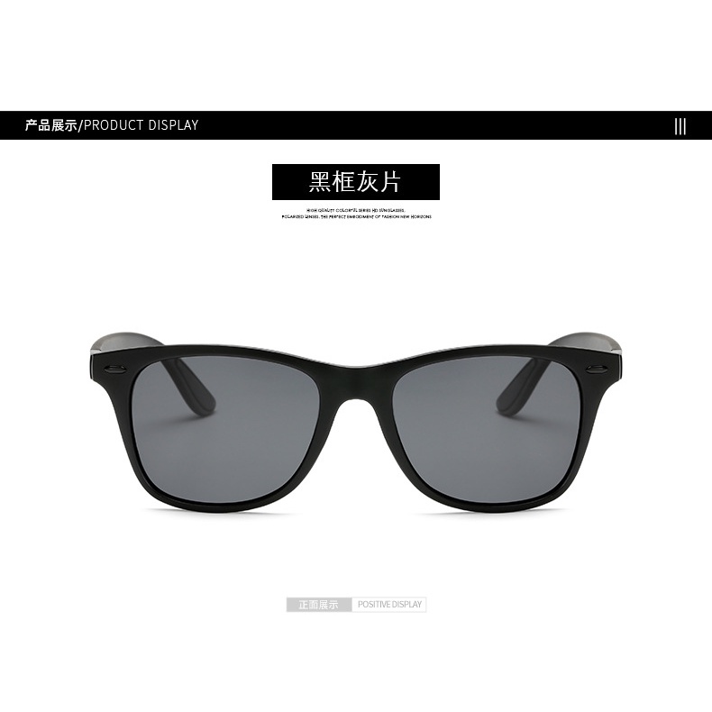 Kính Mát Phân Cực P21 Cho Nam | BigBuy360 - bigbuy360.vn