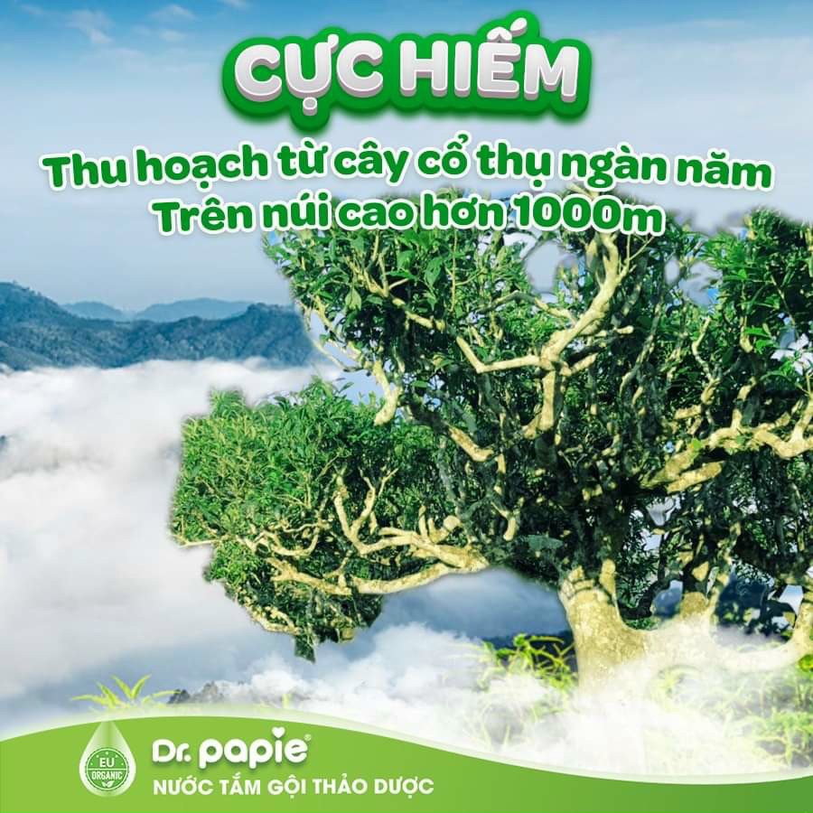 [CHÍNH HÃNG] Nước tắm thảo dược cho bé chai 230ml Dr Papie giúp ngăn ngừa và giảm các vấn đề về da
