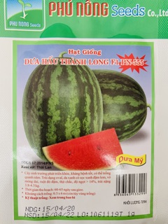 Hạt giống dưa hấu trái hình oval