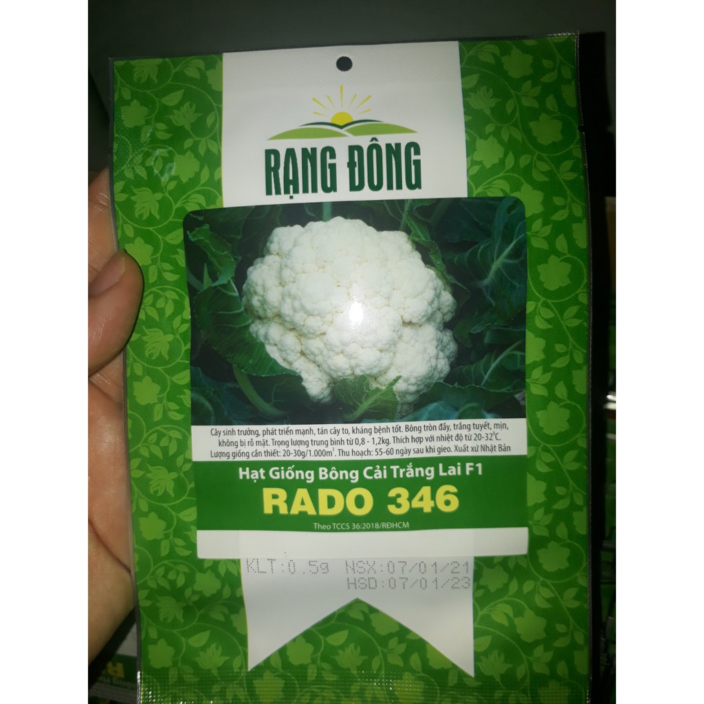 [Seeds] Hạt giống Bông cải trắng (Súp lơ trắng) lai f1 Rado, đóng gói 0.5gr