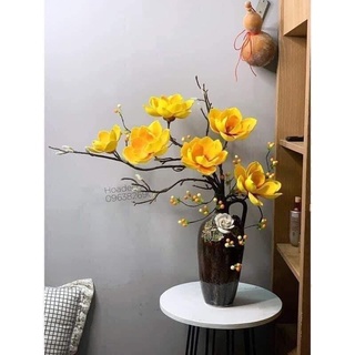 Hoa lụa - cây cảnh