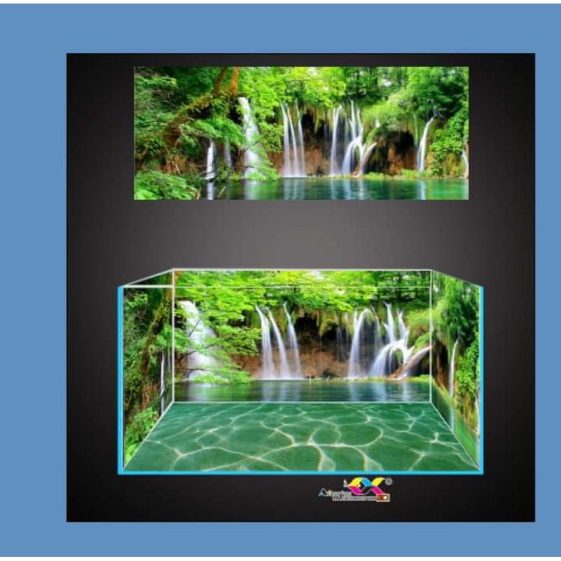 Tranh 3D dán bể cá