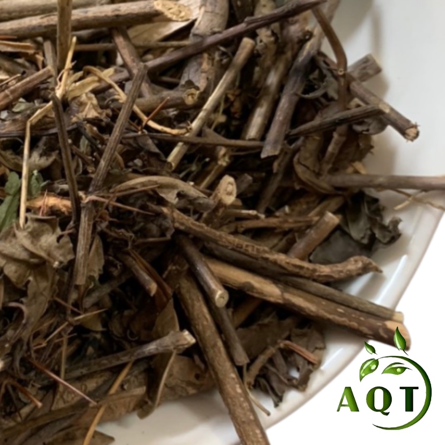 Cây Kim Vàng 1KG Phơi Khô, Giảm Đau Xương Khớp, Ngừa Hen Suyễn