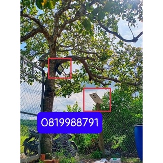đèn pha 100w năng lượng mặt trời
