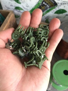50 Con bướm kẹp Lan Hồ điệp