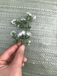 Cỏ điểm nhựa