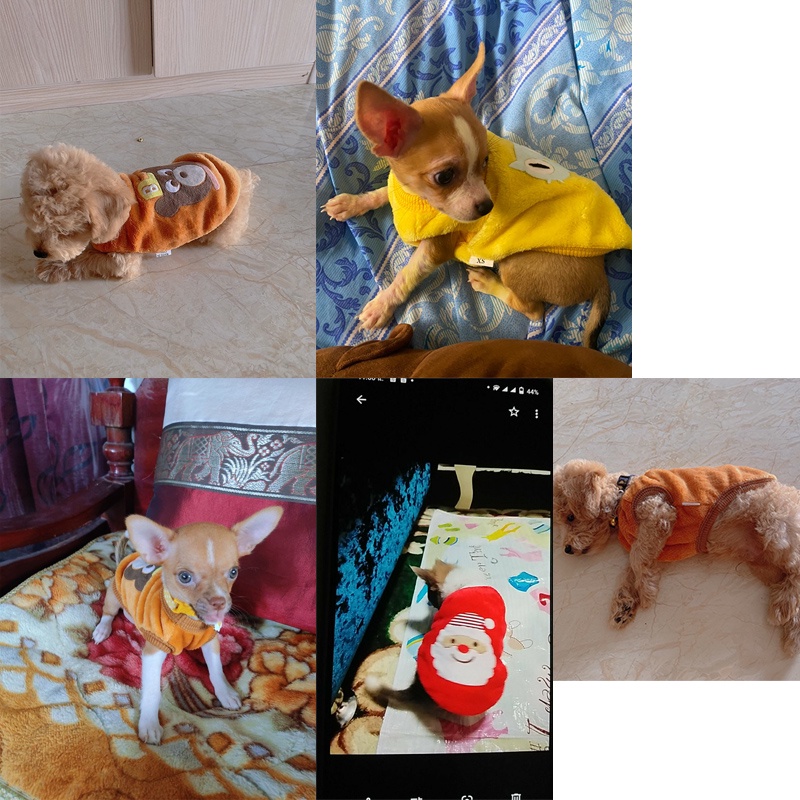 Áo khoác in hoạt hình dễ thương giữ ấm mùa đông cho thú cưng