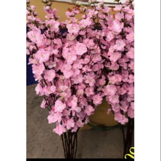 10 cành siêu phẩm hoa anh đào cao cấp