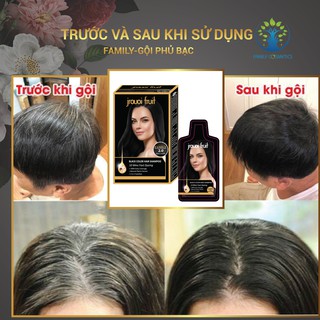 Thuốc nhuộm tóc thảo dược Family dầu gội phủ bạc đen tóc nâu cafe gội nhuộm thảo dược 01 HỘP ĐEN TỰ NHIÊN 2.0