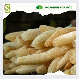 Combo 10 xơ mướp sinh dược- làm sạch da, rửa bát😂