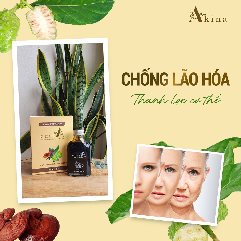 Tinh chất Nano Trái Nhàu & Linh Chi Akina  - Tự nhiên nguyên chất - Thần dược bách bệnh
