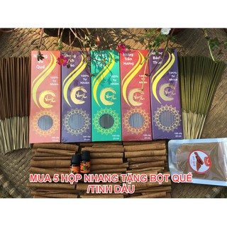Nhang quế, khuynh diệp, trầm hương, thảo mộc 100 cây 25cm