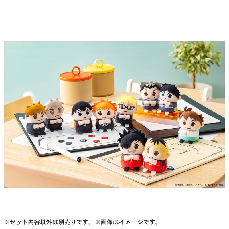 - Bông nguyền Haikyuu