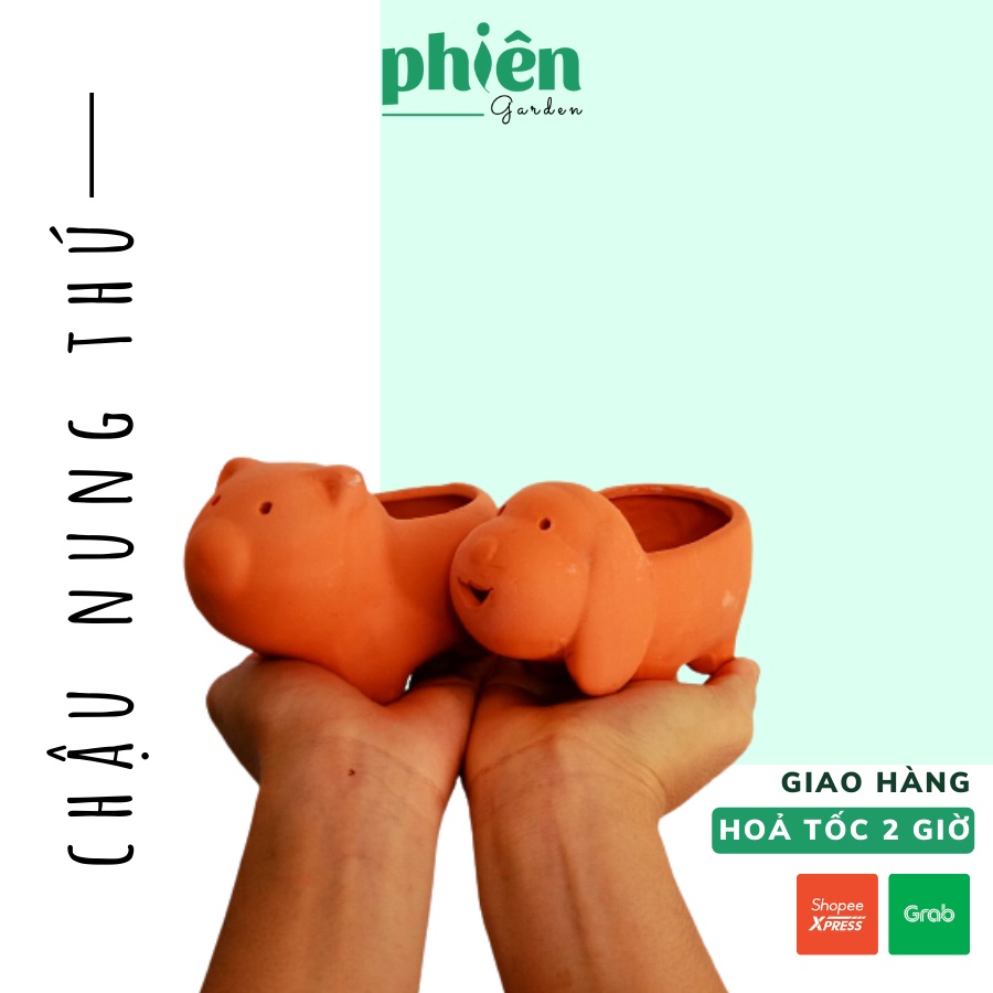 Chậu đất nung hình thú trồng sen đá, hình con heo, con chó siêu dễ thương