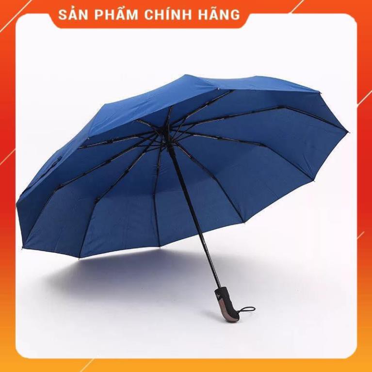 [HÀNG XỊN - GIÁ RẺ] Ô tự động gấp gọn 2 chiều đóng mở