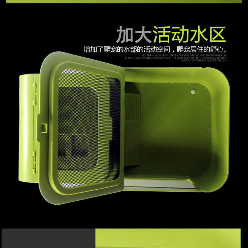 Bể chia rùa Bể rùa nhiều màu với sân thượng  Nuôi rùa thằn lằn nhện Bò sát