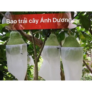 300 túi bọc ổi kích thước 18x20
