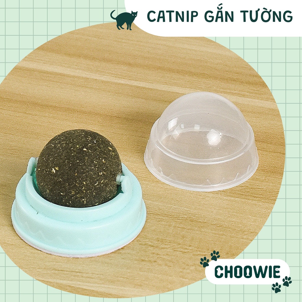 Cỏ mèo dán tường Catnip mèo đồ chơi cho mèo giúp mèo xả stress Choowie Pet Shop