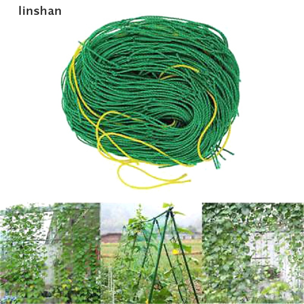 Lưới nylon màu xanh lá hỗ trợ trồng cây dây leo