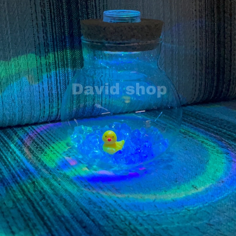 Lọ thủy tinh nắp gỗ có led/marimo-trang trí bàn học-bàn làm việc
