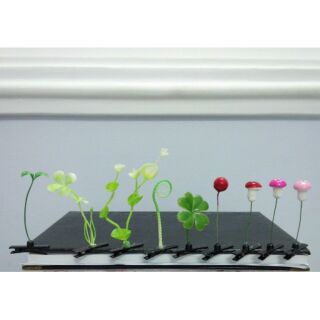 2 Kẹp Mầm